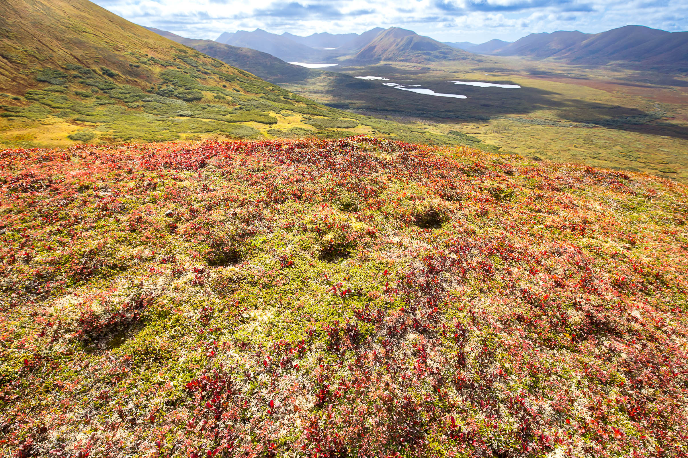 A small "century trail" between Karluk and Frazer Lakes at Kodiak